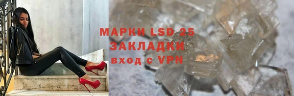 индика Баксан
