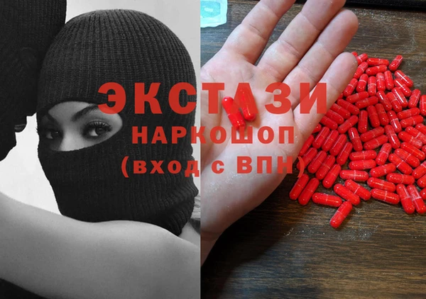 прущие грибы Осташков