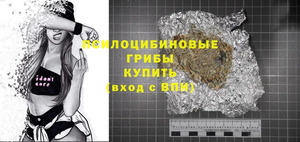 индика Баксан