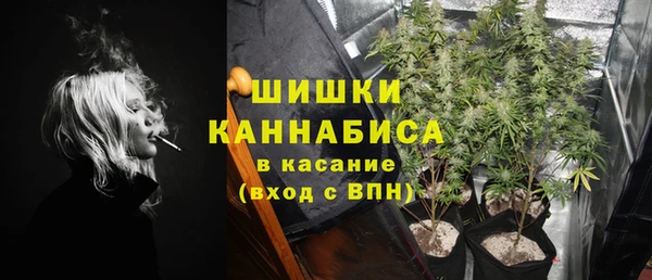 индика Баксан