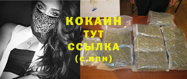 индика Баксан